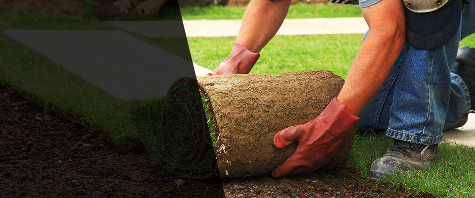 Imlay City Landscapers
